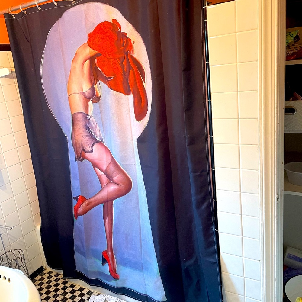 Shower curtain